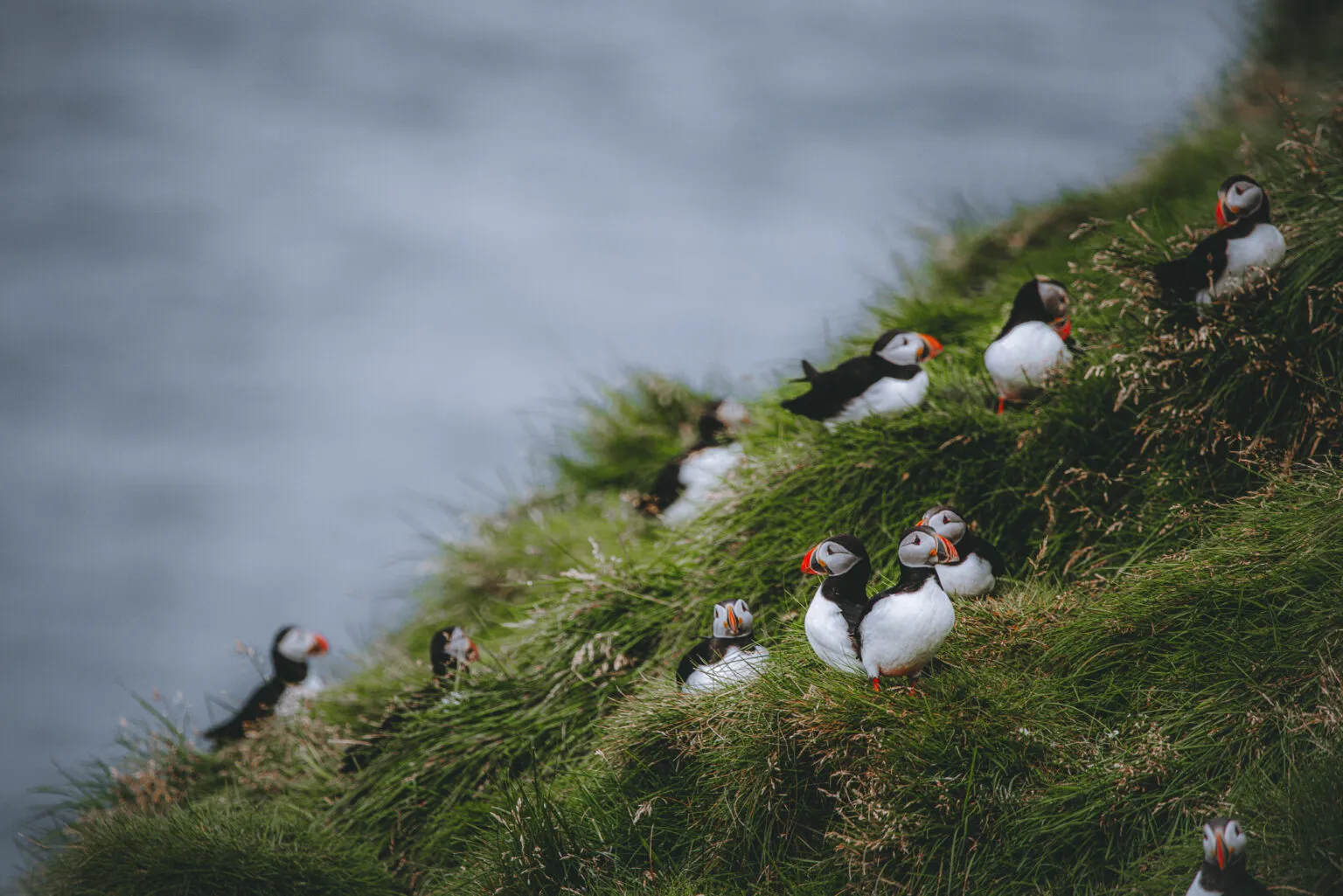 Explore Iceland - My Way
